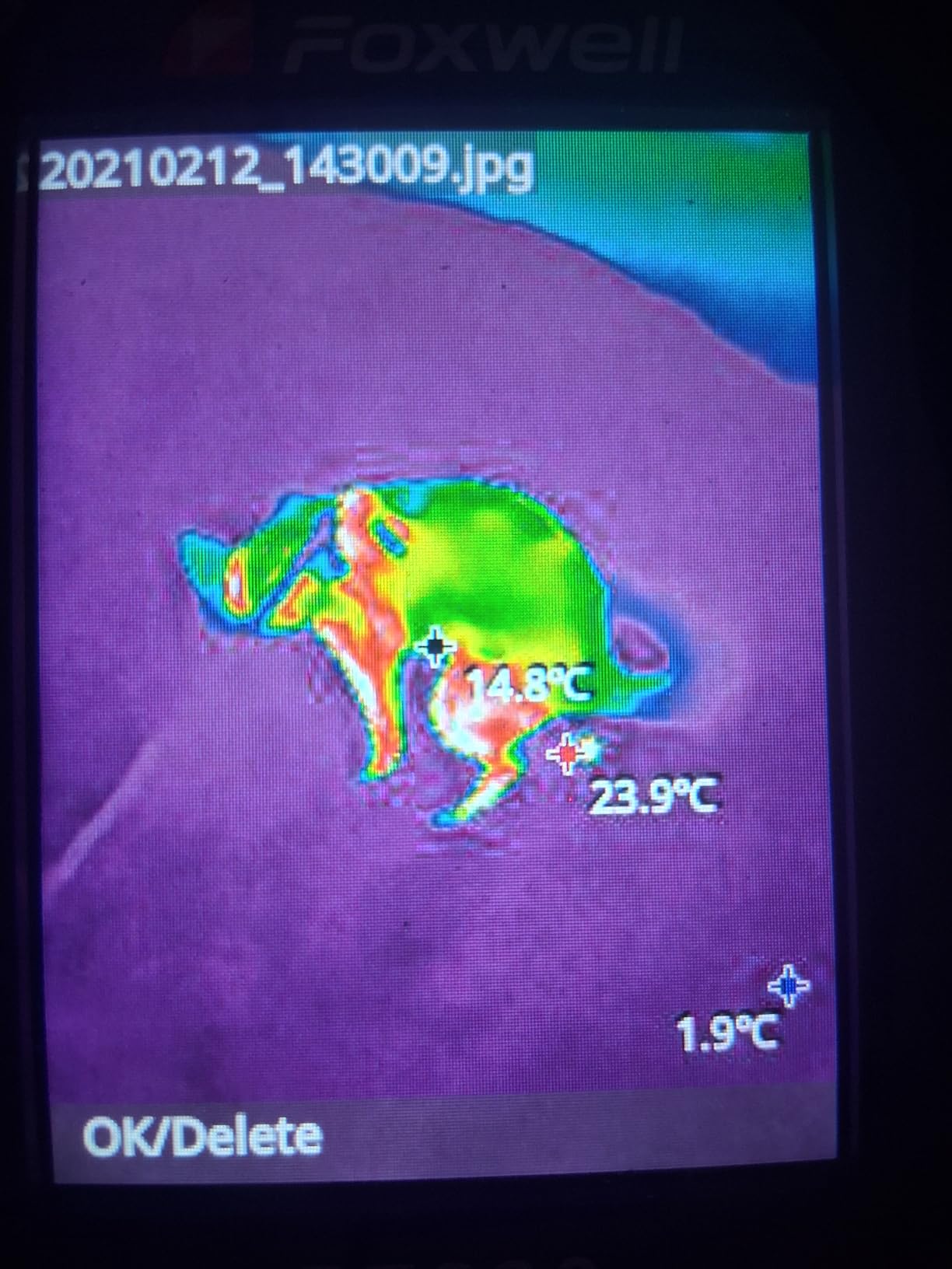FOXWELL RT280 Thermal Imaging Camera, 320x240 LCD Screen, TISR Resolution 240x180 customer photo 1