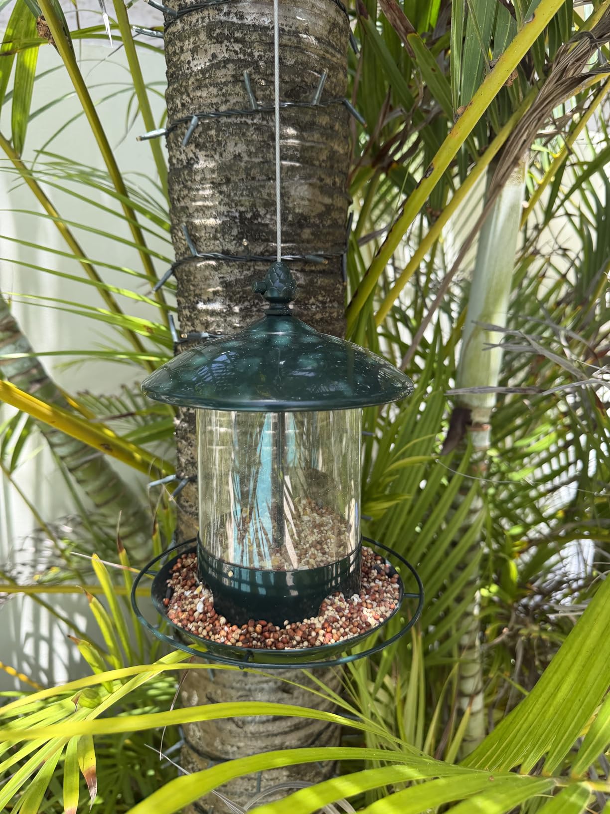 Gbekery Metal Bird Feeders for Outdoors Hanging, Weather Resistant Wild Bird Feeder with 360 Degree Feeding Tray customer photo 1