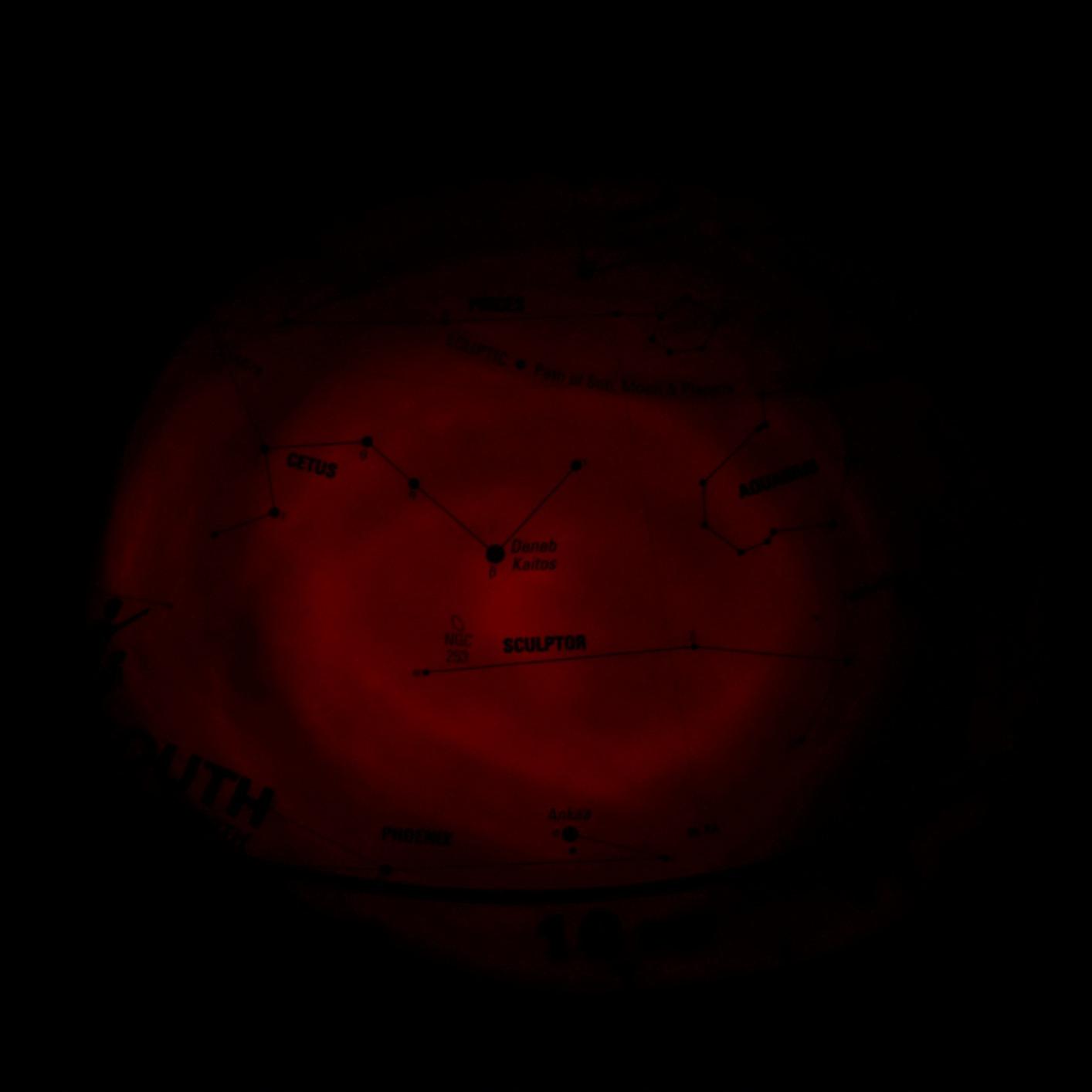 Celestron Night Vision Red LED Flashlight for Astronomy and Camping | Must-Have Astronomy Accessory, Preserves Night Vision, Variable Red LED Brightness, Gift Idea for Astronomers customer photo 2
