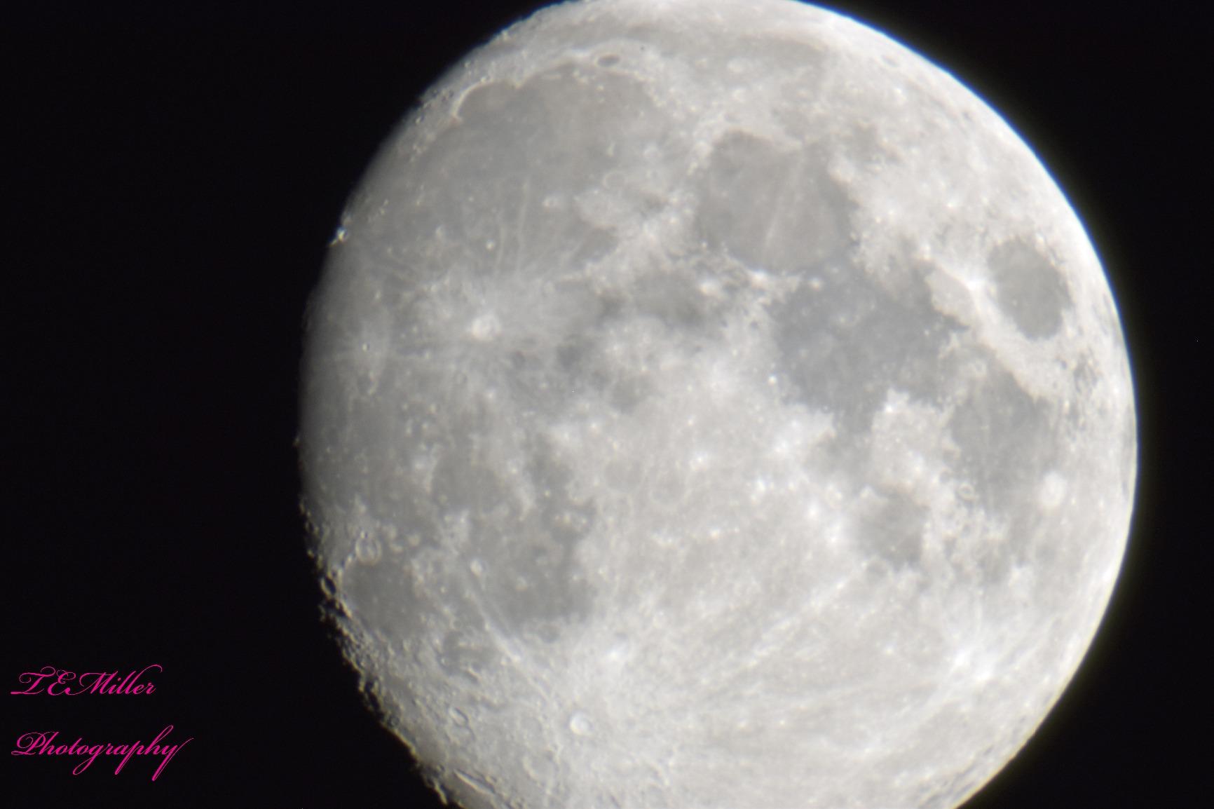 Celestron Universal 1.25