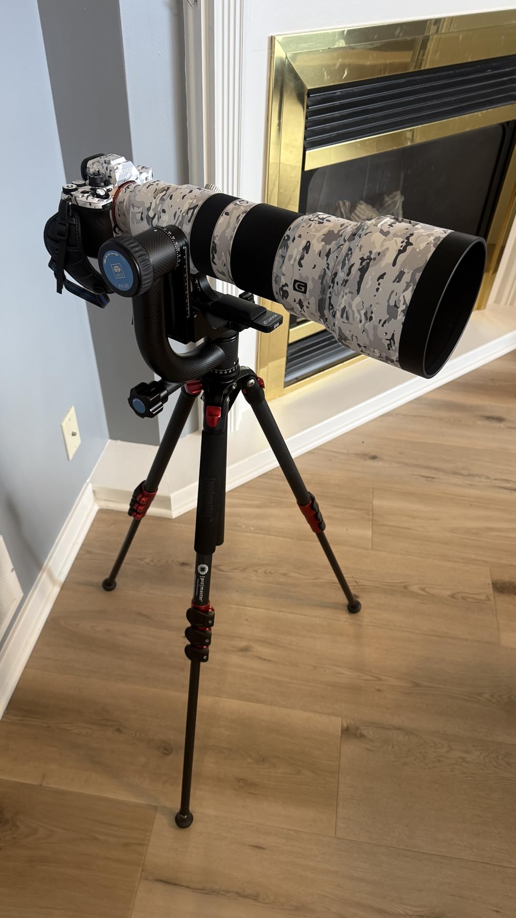 SIRUI PH-20 Gimbal Head, 360 Degree Panoramic Tripod Head for DSLR Telephoto Lens, Carbon Fiber customer photo 1