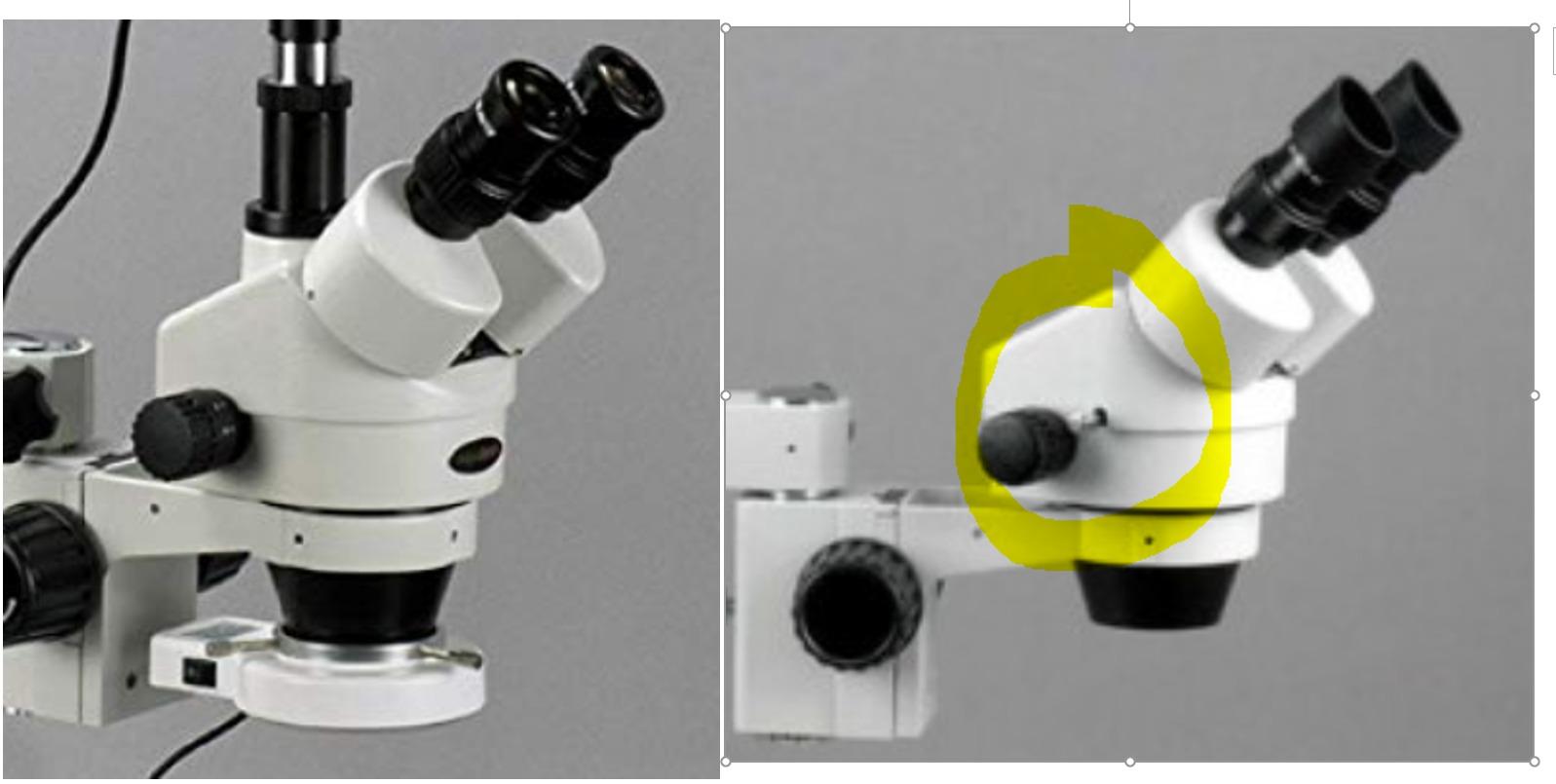 AmScope SM-3T-54S-5M Digital Professional Trinocular Stereo Zoom Microscope with 5MP Camera customer photo 1