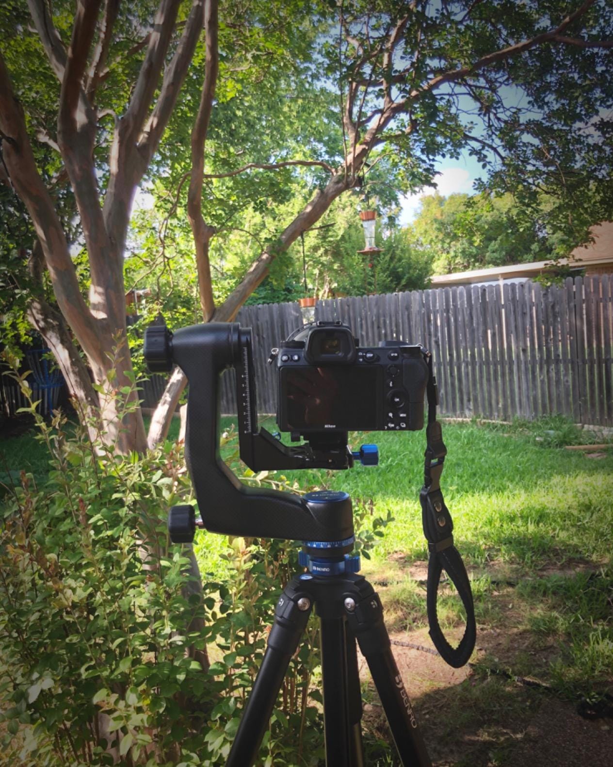 Benro GH5C Carbon Fiber Gimbal Head with PL100W QR Plate customer photo 2