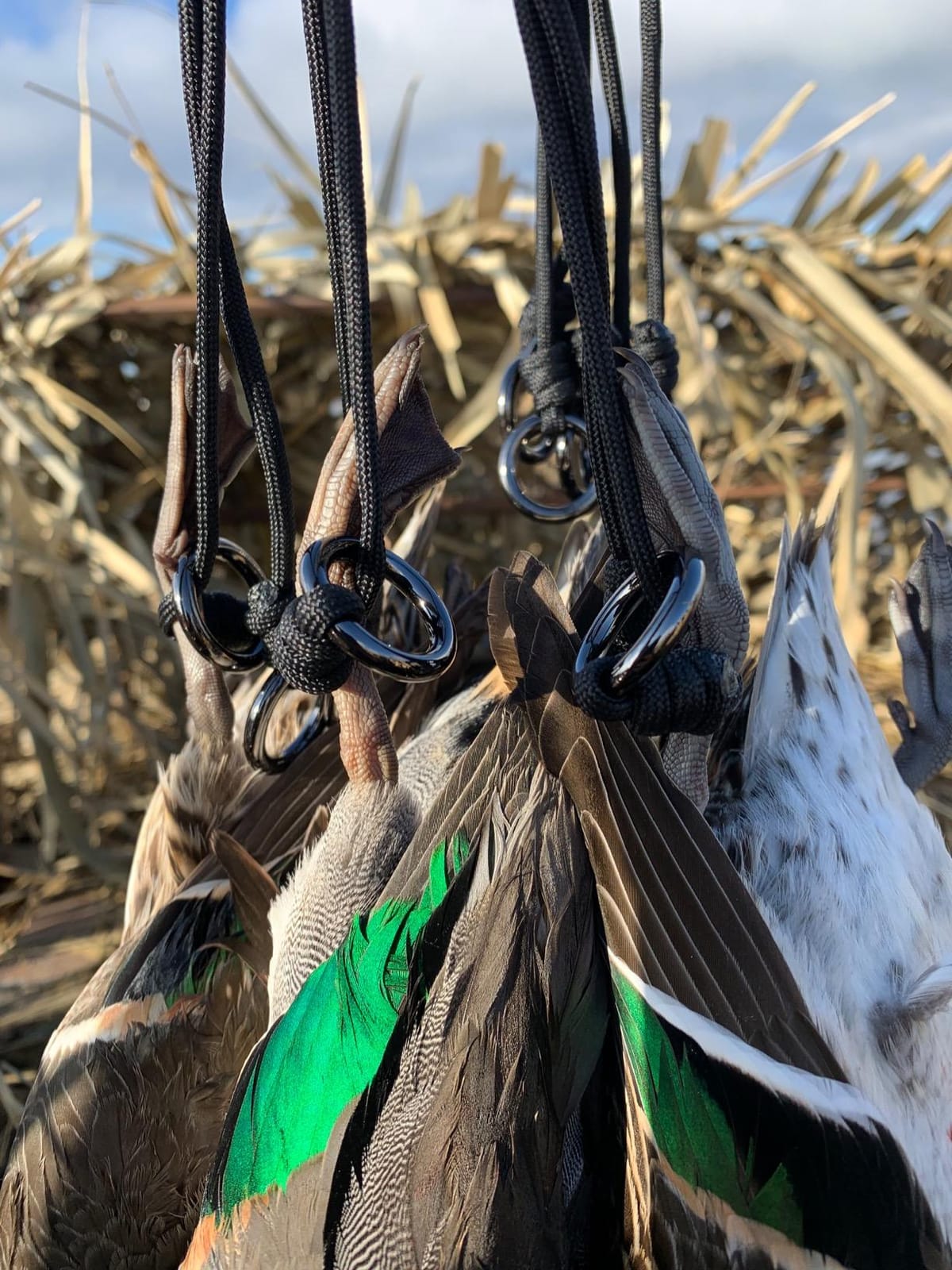 Game Carrier, 12 Drops, Slip Ring - Bird Tote for Waterfowl, Duck, Geese, and Other Wild Game, Paracord customer photo 2