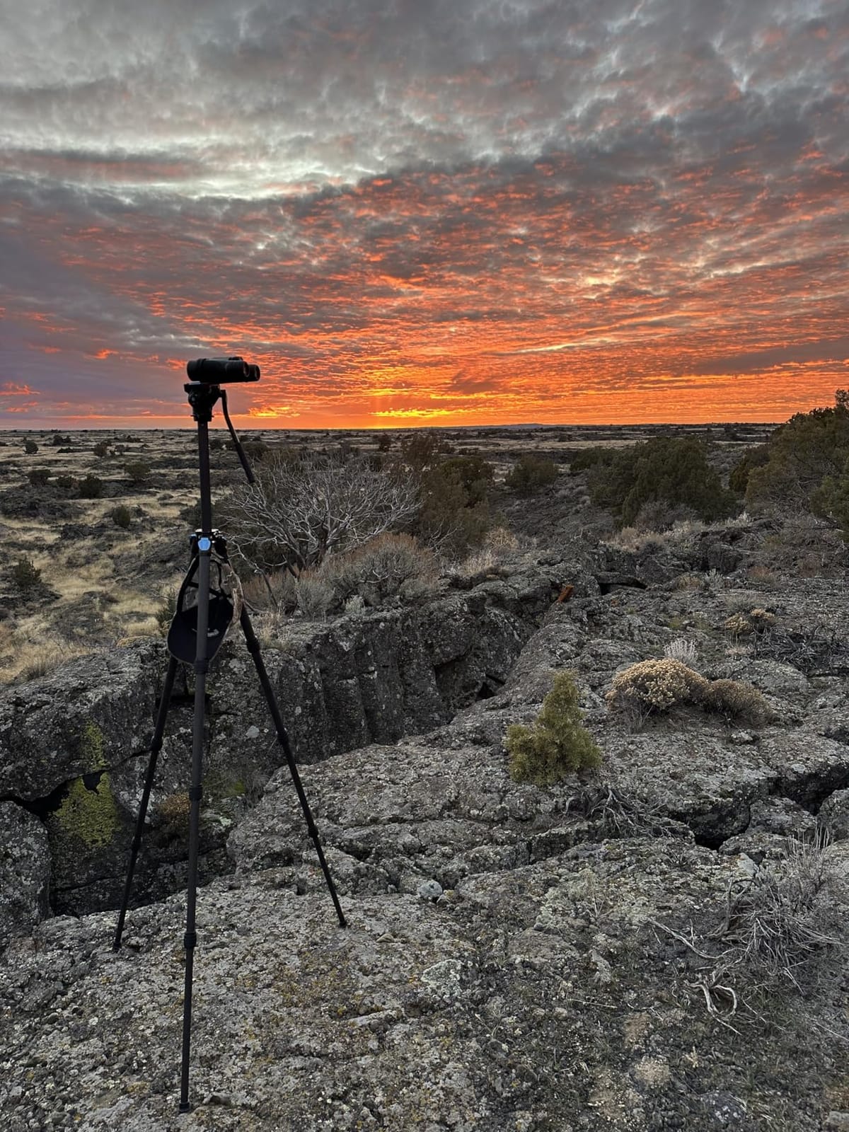 SIRUI ST-124+VA-5 Carbon Fiber Tripod with Fluid Video Head, Triangular Centre Column, Waterproof,4 Sections, 62.2inch, Load 6.61lbs customer photo 2