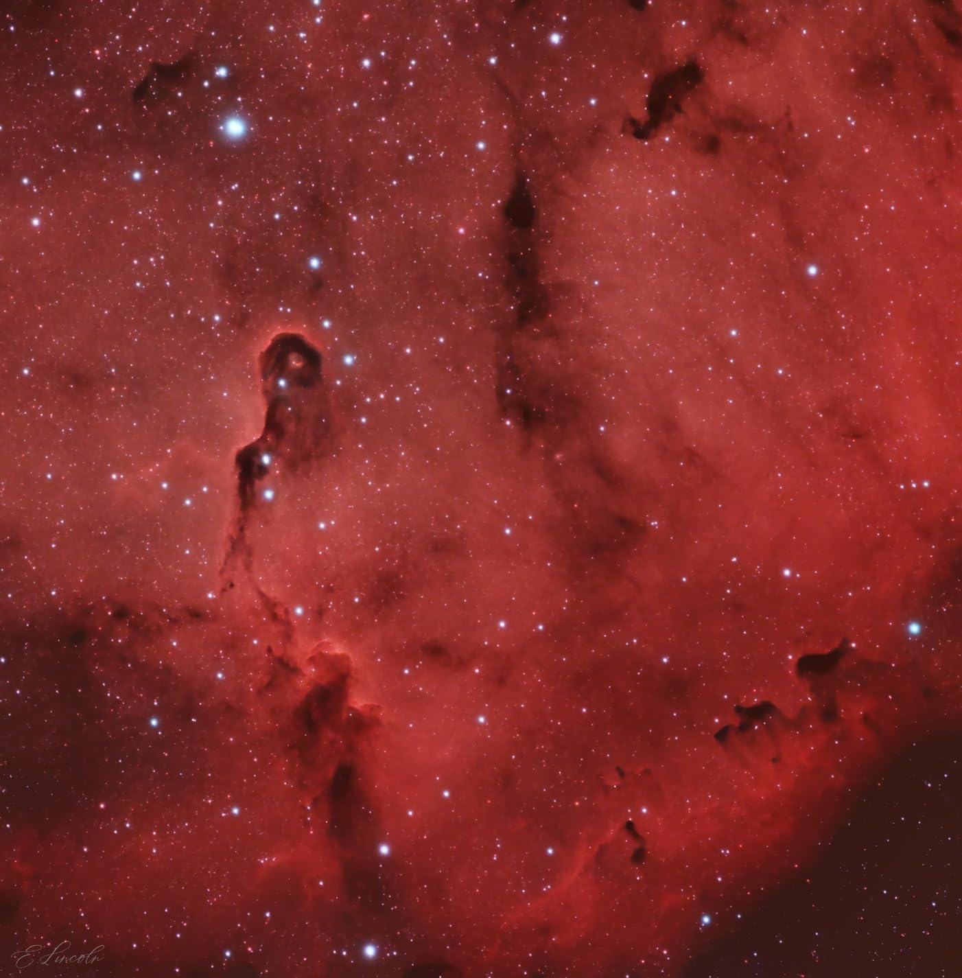 ZWO ASI533MC-P CMOS Color Cooled Astronomy Camera customer photo 2