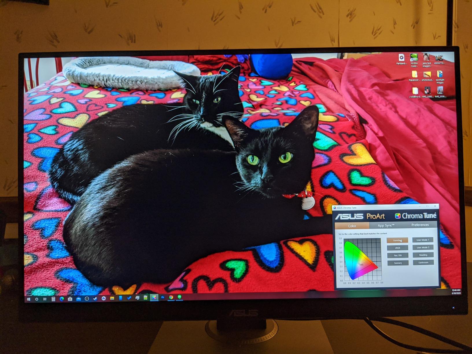 ASUS ProArt PA278QV 27 Inch 1440p QHD Professional Monitor | Calman Verified, IPS, Height Adjustable, 100% sRGB, Eye Care, Anti-Glare, Ergonomic Stand, Rec.709 customer photo 1