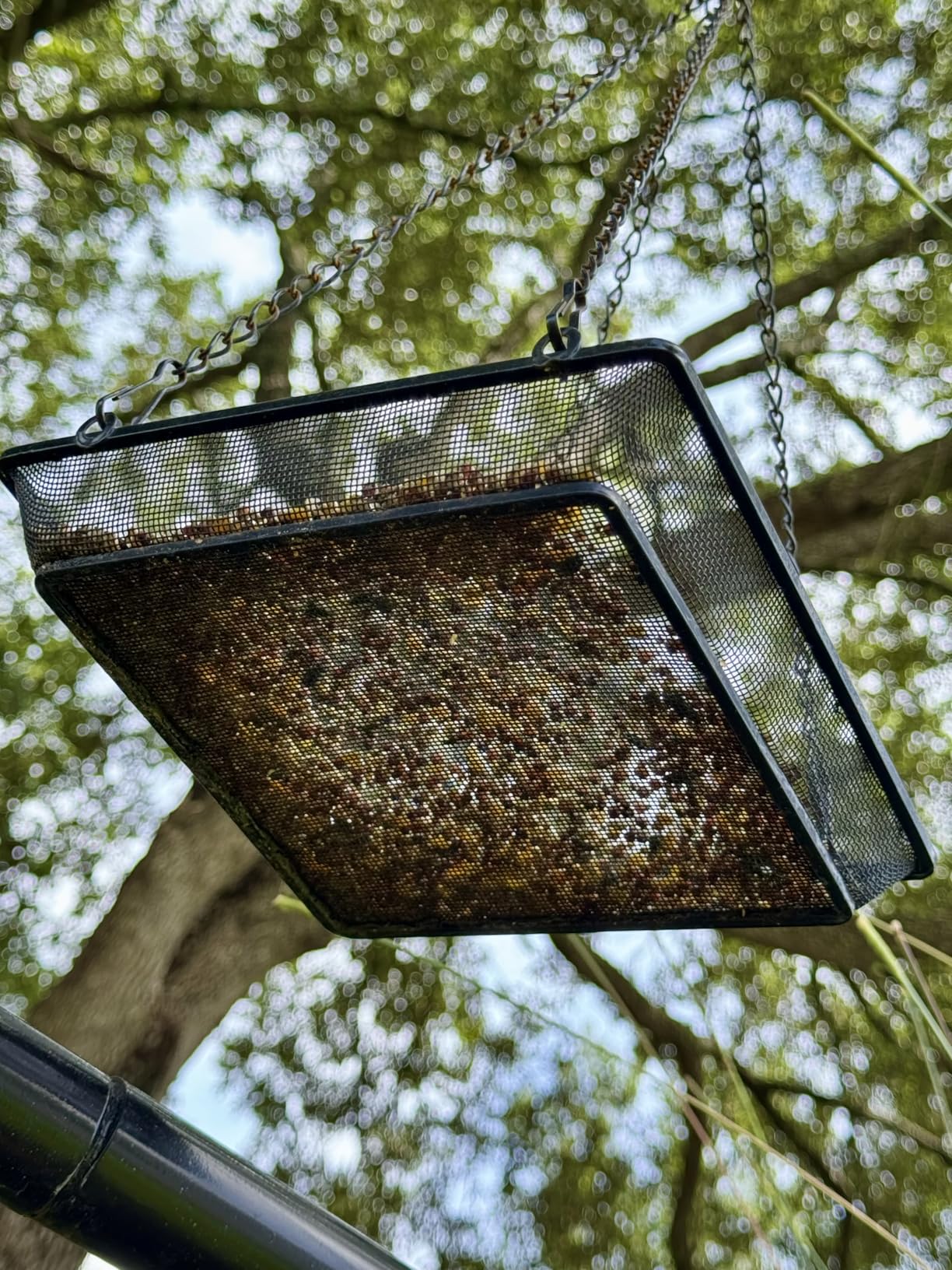 Hanging Bird Feeder Tray Platform Metal Mesh Seed Tray (WOWARE) customer photo 2