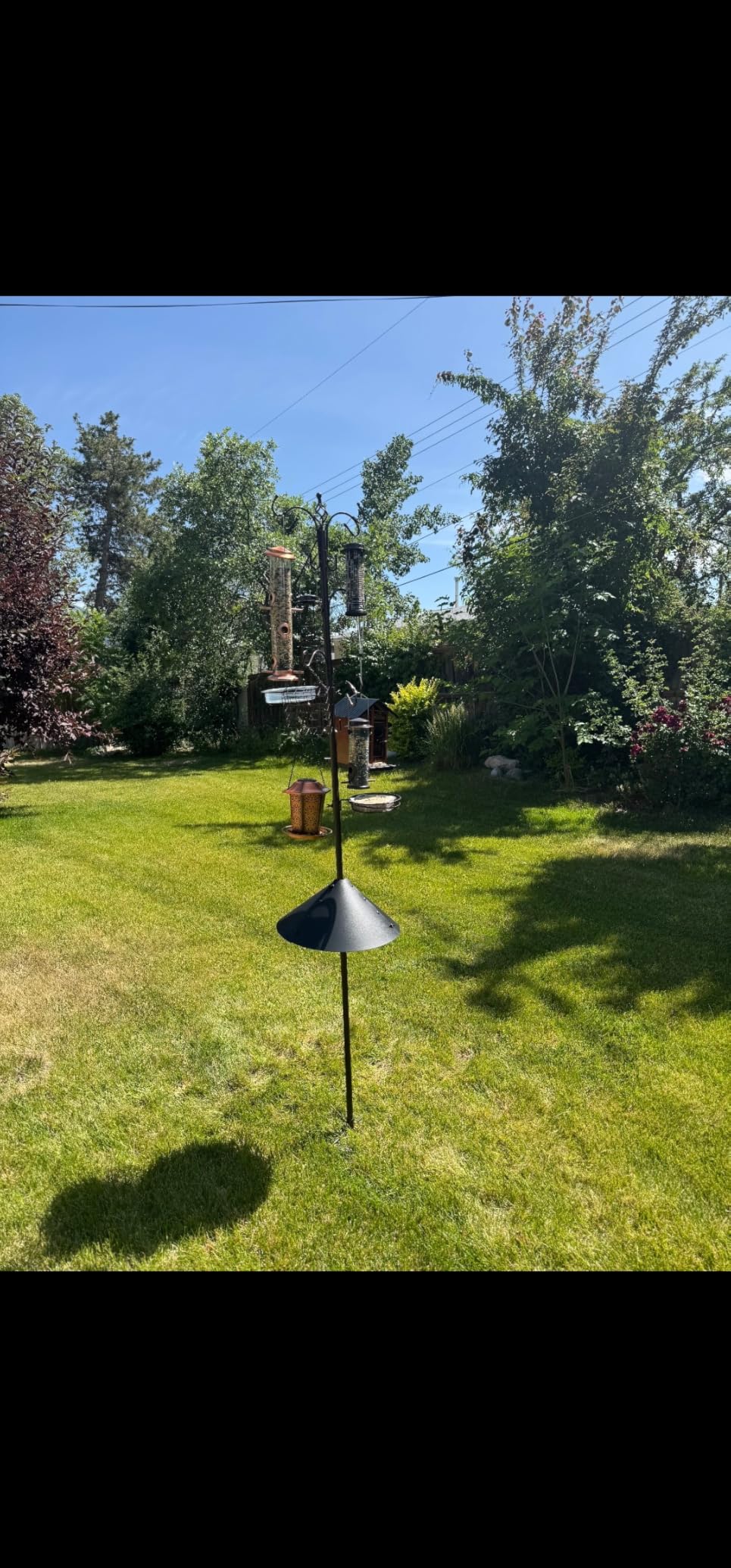 Bird Feeding Station Kit with Squirrel Baffle Bird Feeder Pole with Suet Cage Mesh Tray Fruit Hook Double W Hook for Attracting Wild Birds and Hanging Planter Hanger Lights customer photo 2