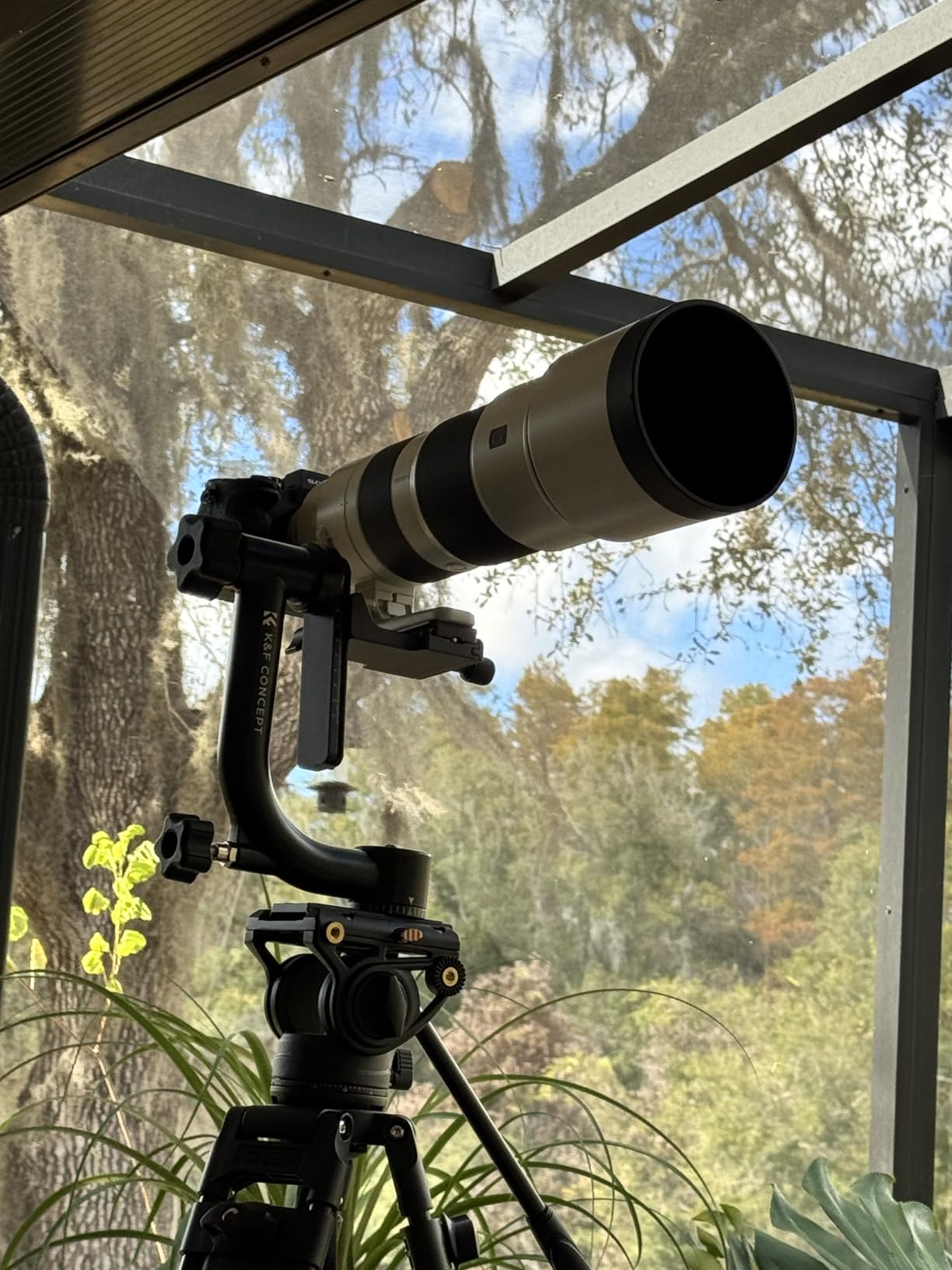 K&F CONCEPT Aluminum Alloy 360 Degree Panoramic Gimbal Tripod Head with 1/4 inch Standard Quick Release Plate and Bubble Level, Load Capacity up to 20kg/44lbs customer photo 2