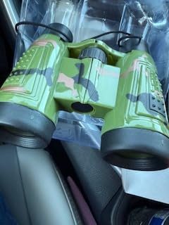 Bushnell Powerview 2 8x21 Binoculars, Compact Folding Binoculars with Roof Prism Design, For Birdwatching, Outdoor Sports, Concerts customer photo 2