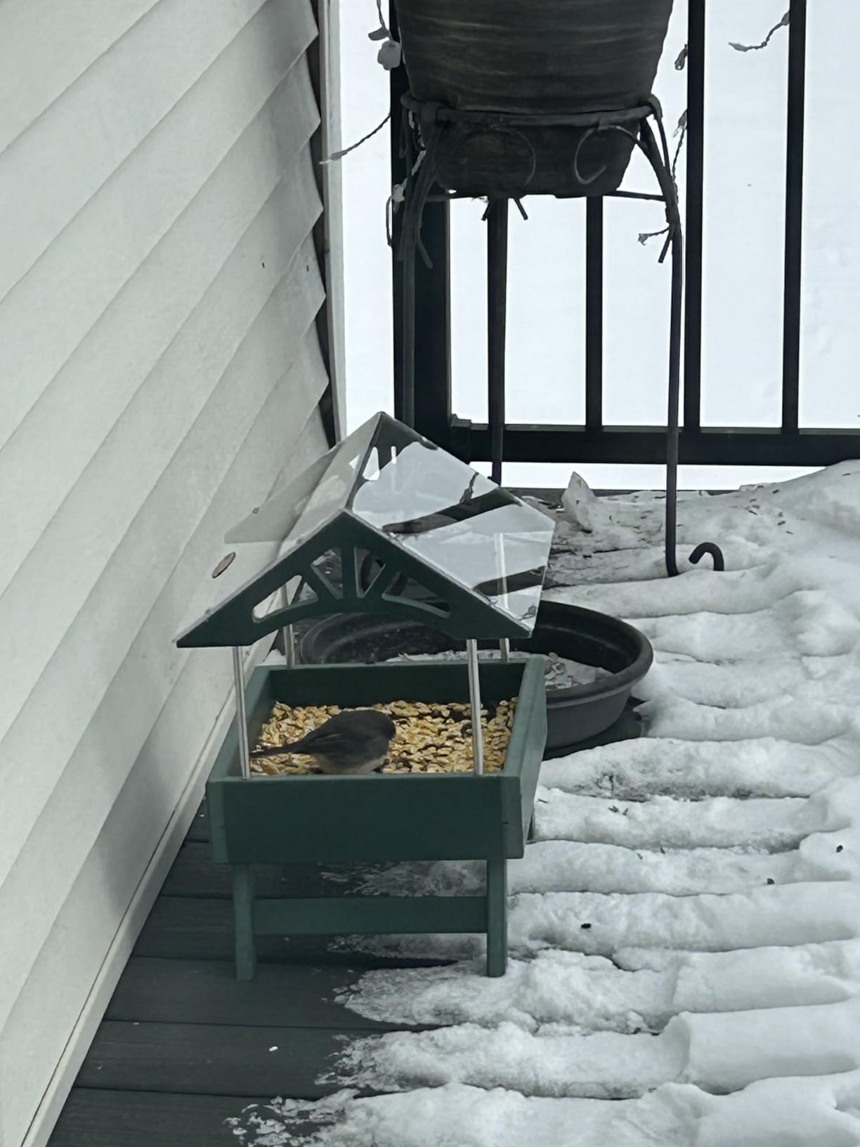 Kingsyard Covered Platform Ground Bird Feeder for Outdoors, Green customer photo 2