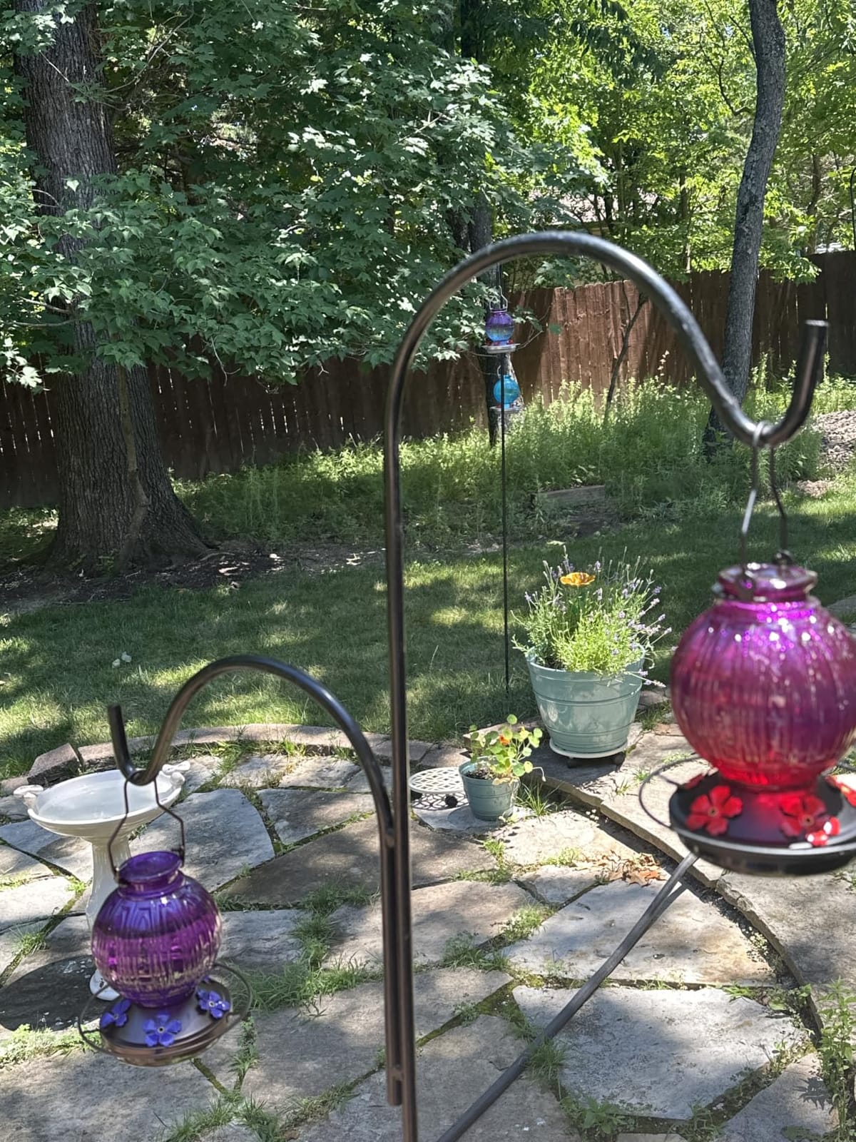 Glass Hummingbird Feeder for Outdoors Hanging, 26 fl oz Bird Nectar Feeder customer photo 2
