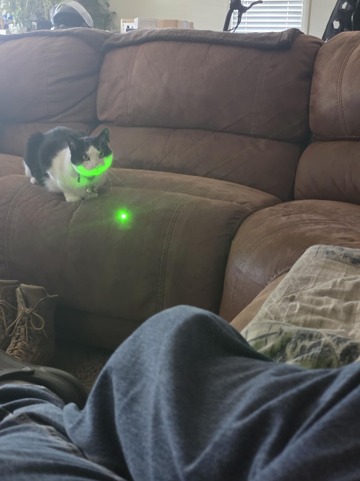 HITEKK High Power Green Laser Pointer | Tactical Long Range Green Laser Pointer | Single Press On/Off Tactical Lazer Pointer | Rechargeable Lazer Pointer and Carrying Case (X3) customer photo 1