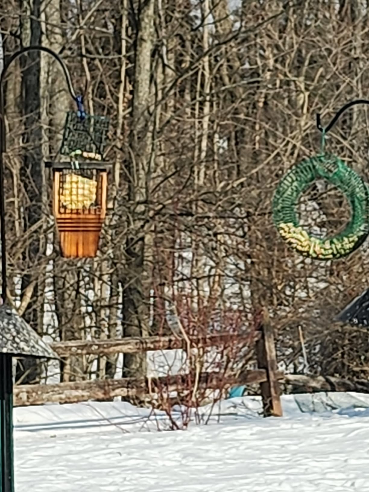 Peanut Bird Feeder, Hanging Feeder Round Metal Whole Wild Bird Feeder with Hanging Hook customer photo 1
