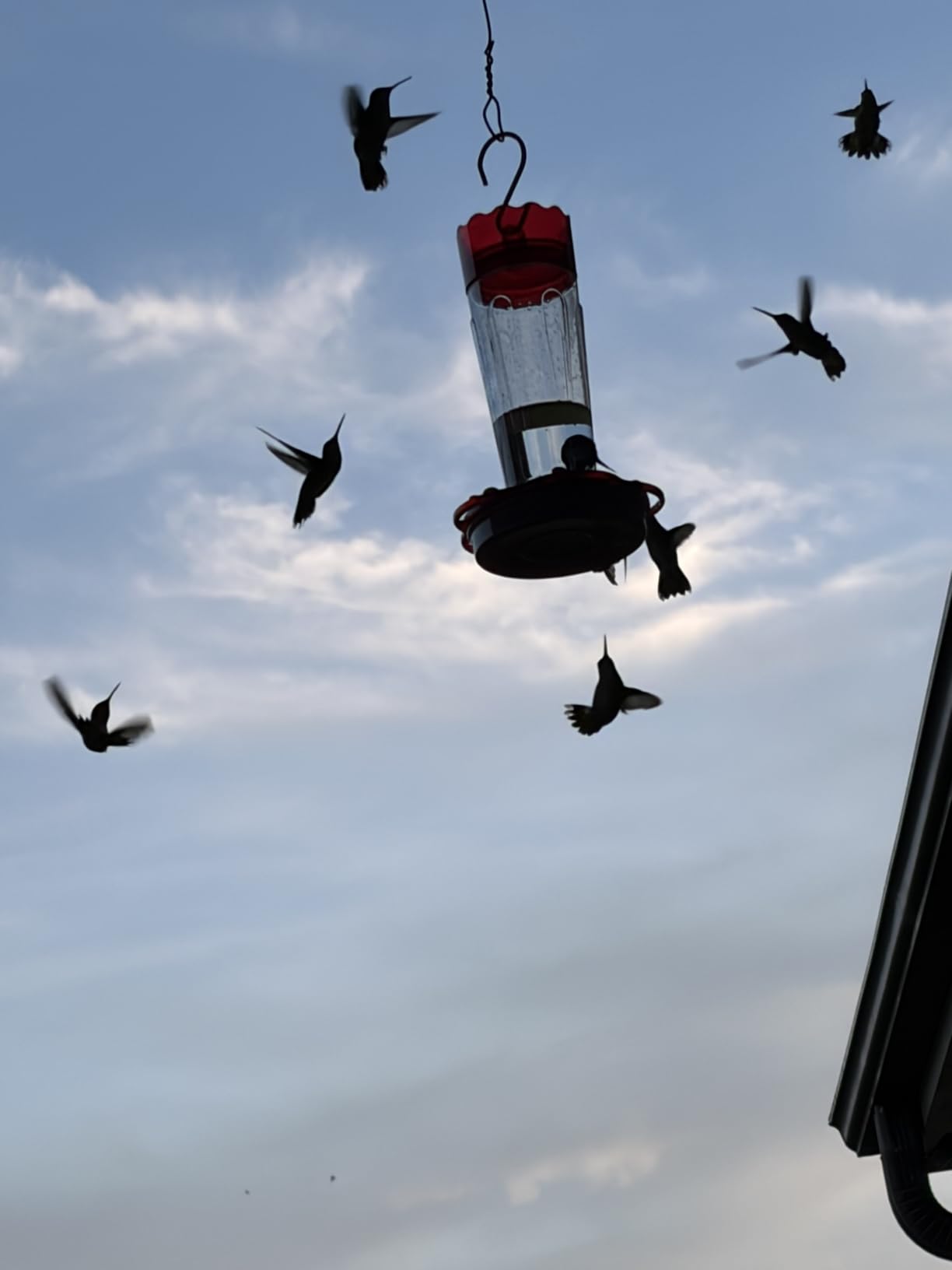 Glass Hummingbird Feeders for Outdoors Hanging Ant and Bee Proof, 1 Pack 15 Ounces Red Hummingbird Feeder with 5 Feeding Ports and Perches, Built-in Ant Moat, Outside Garden Décor customer photo 2