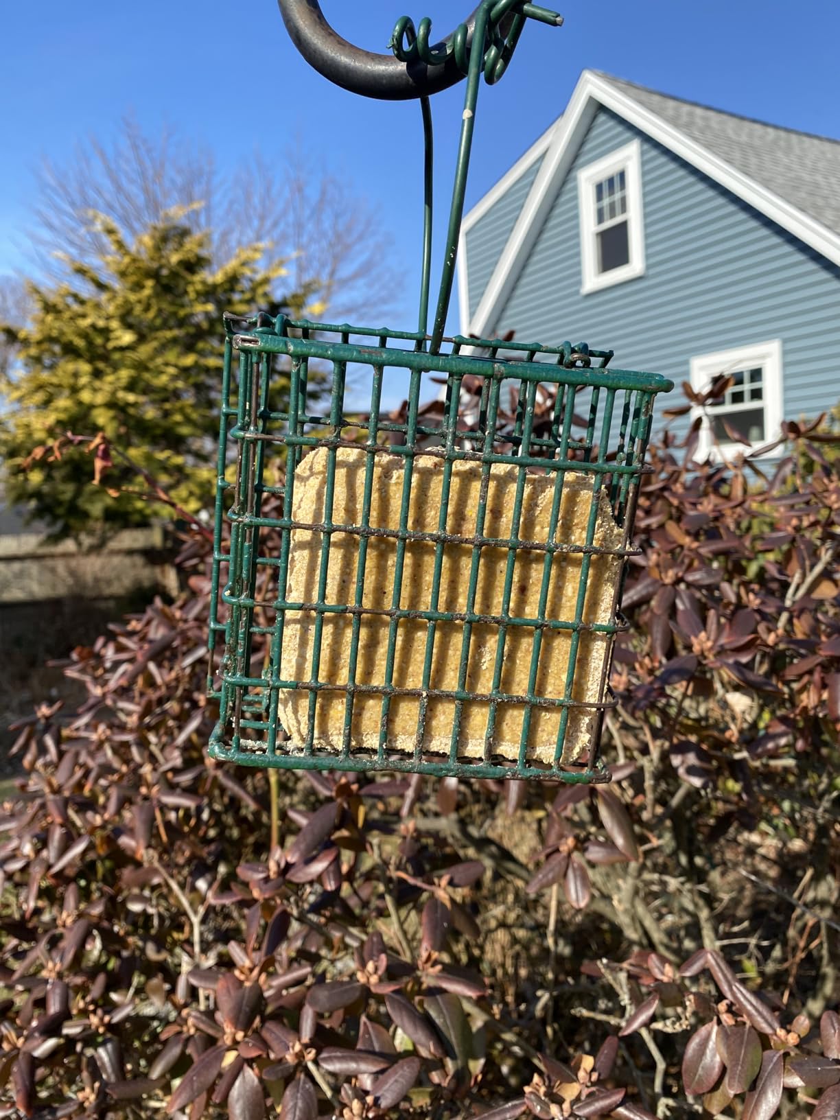 DutchCrafters Plastic Poly Hanging Whole Peanut Bird Feeder for Large Birds, Woodpeckers, Blue Jays - USA Amish Made (Tudor Brown/Weatherwood) customer photo 2