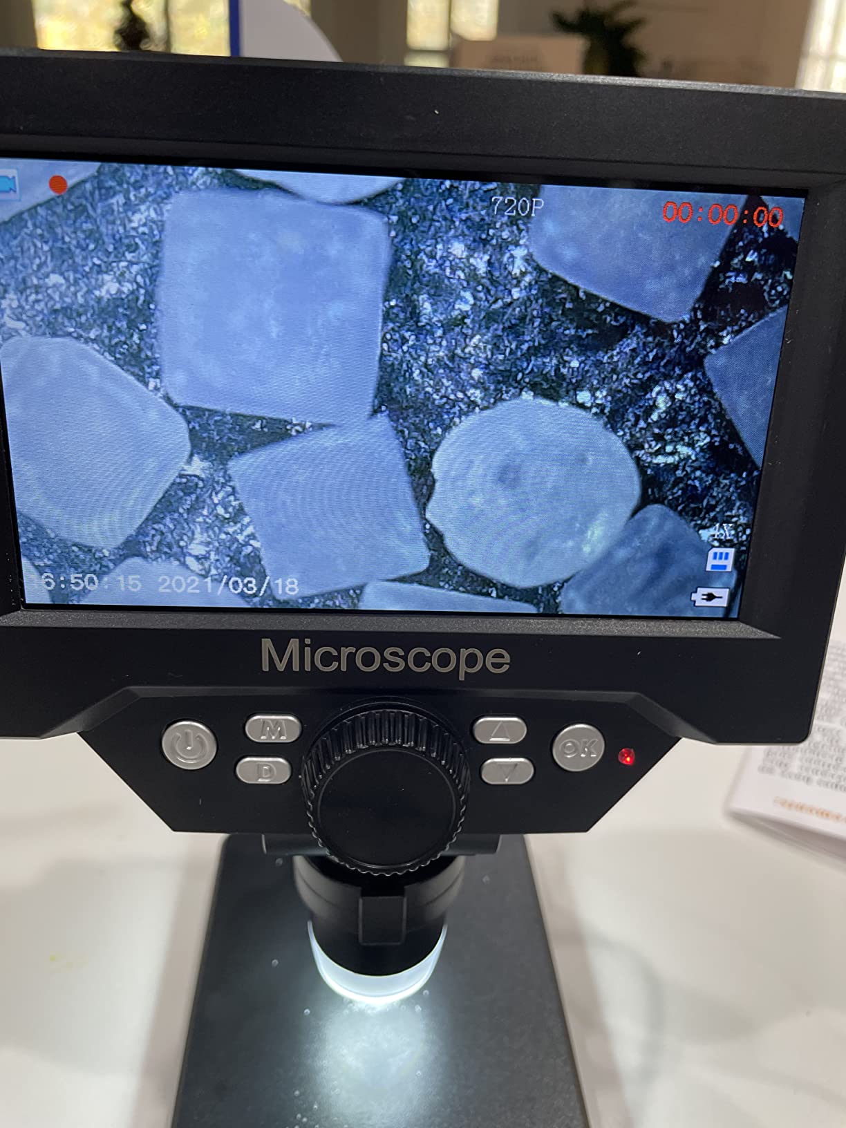 PalliPartners 40x-2000x Biological Compound Trinocular Microscope customer photo 1
