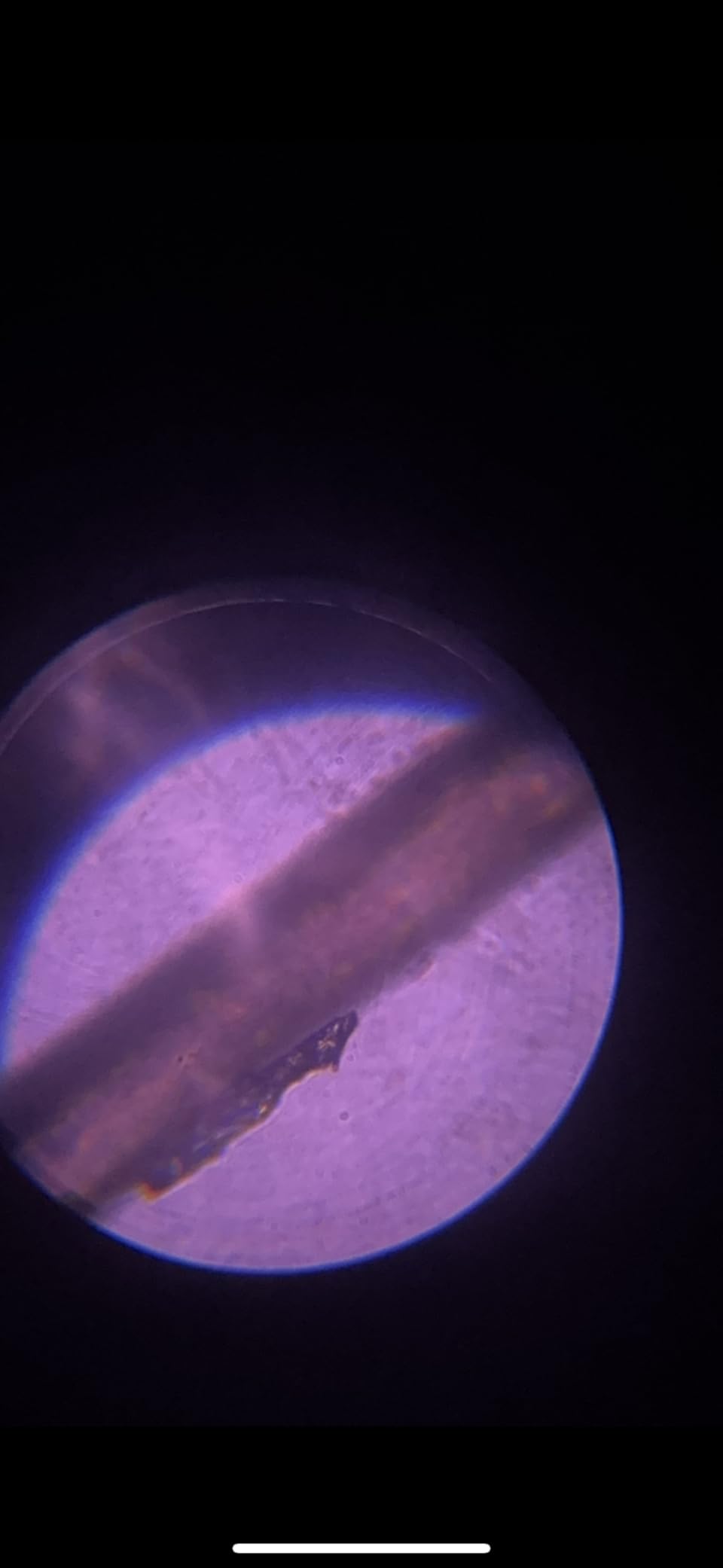 PalliPartners Compound Binocular Microscope for Adults, Professionals&Kids customer photo 1