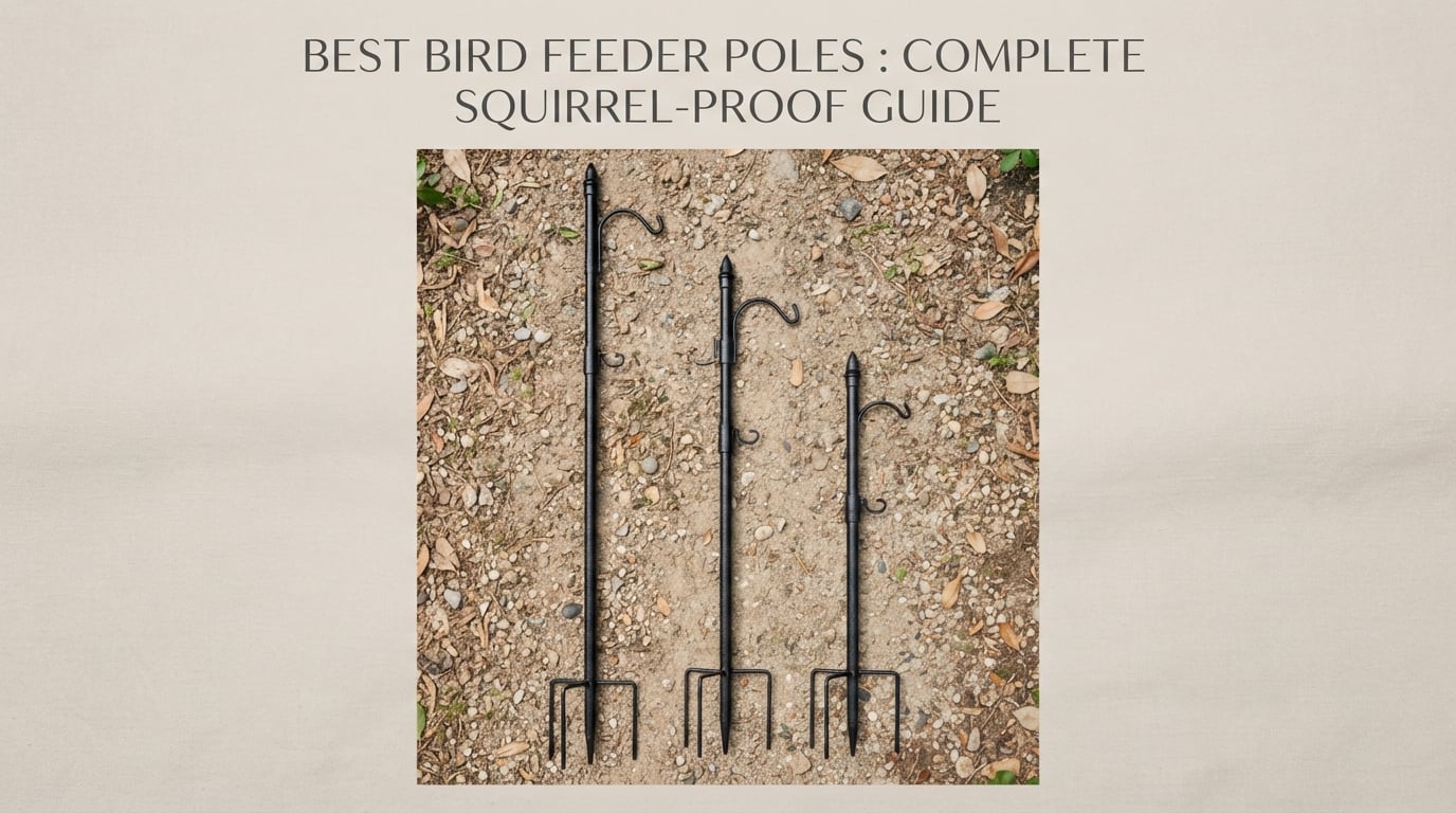 Best Bird Feeder Poles [cy]: Complete Squirrel-Proof Guide